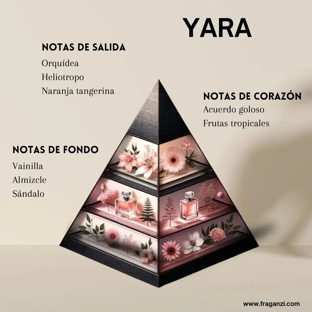 YARA | Parfum arabe pour femme