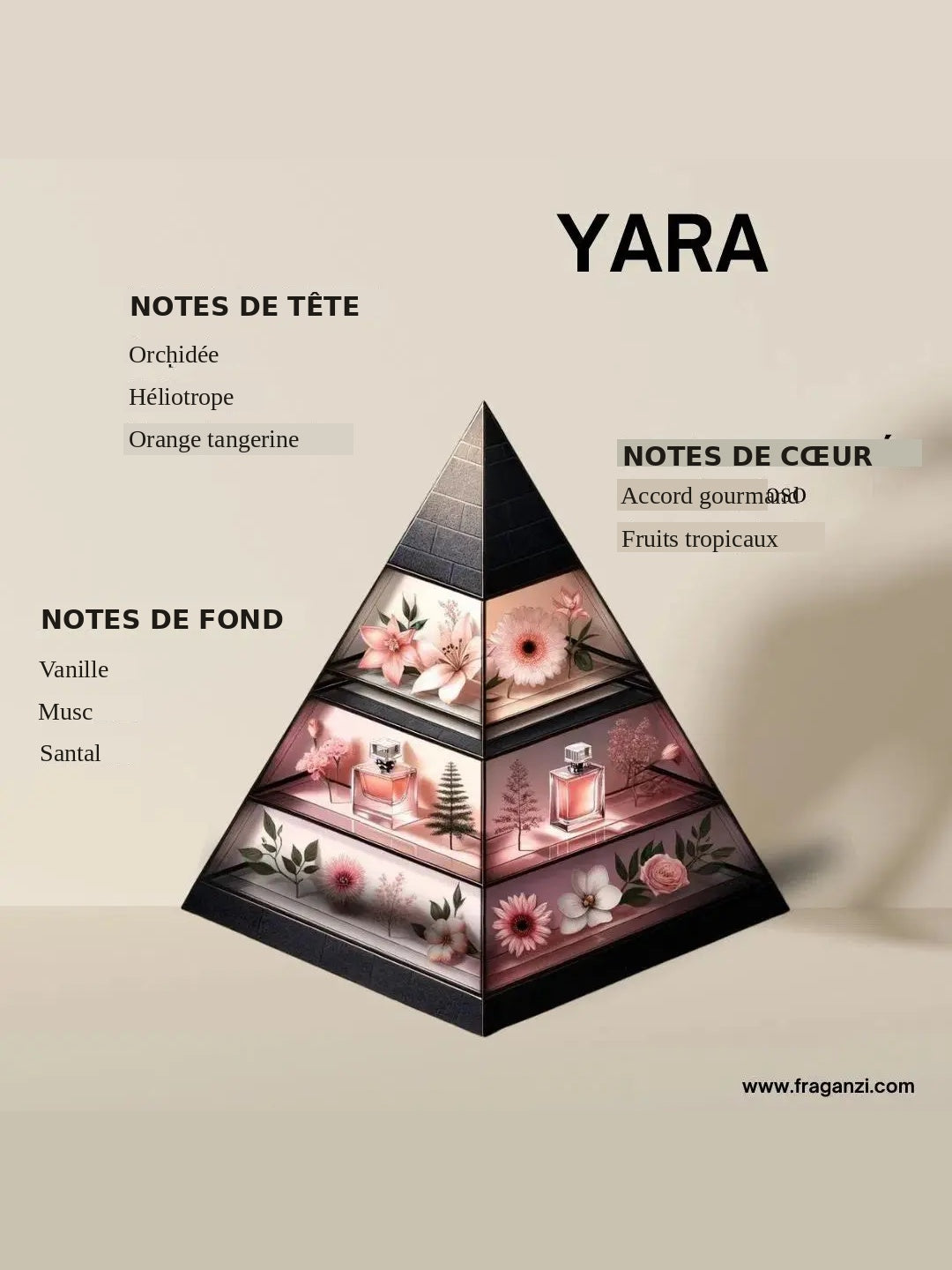 YARA | Parfum arabe pour femme